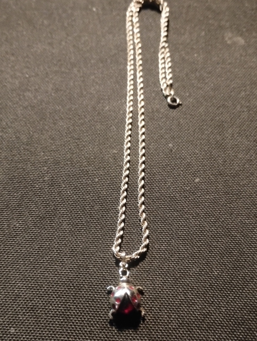 Silver 925Turtle Pendant Rope Necklace with Red Accents